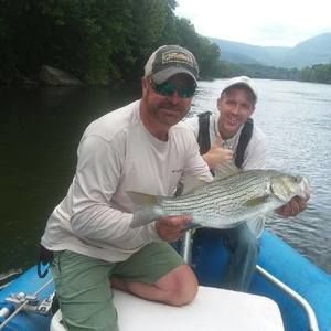 Meet your Posher, Thomas